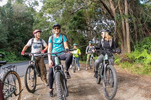 Guided E Bike Tour - Unicorn Falls & National Park - Inverell Accommodation 11