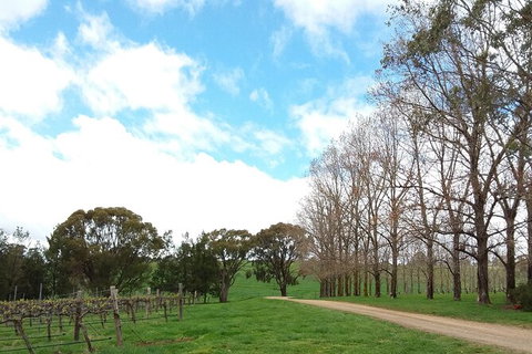 All-inclusive Morning Wine Tour In Orange - Inverell Accommodation 8