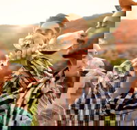 All-inclusive Morning Wine Tour in Orange - Inverell Accommodation