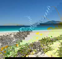 Tea Gardens and Hawks Nest Beach Bus Guided Tour - Inverell Accommodation