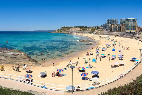 Newcastle Scenic Explorer - 2 Hour Tour By Minibus - Inverell Accommodation 16