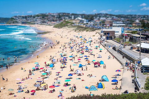 Newcastle Scenic Explorer - 2 Hour Tour By Minibus - Inverell Accommodation 6