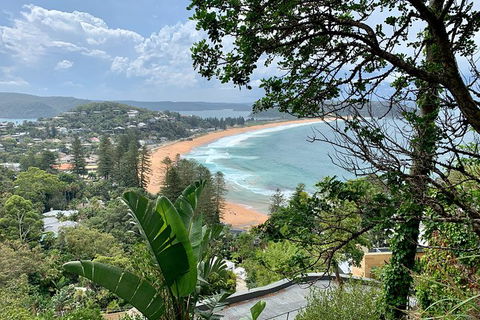 Sydney\'s Northern Beaches & Ku-ring-gai National Park Small Tour Departing Manly - Inverell Accommodation 2