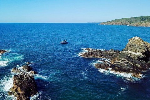 Julian Rocks Byron Bay Cruise - Inverell Accommodation 15