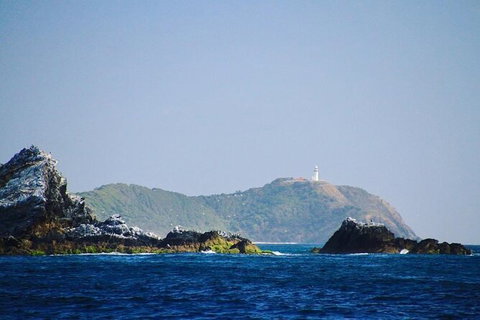 Julian Rocks Byron Bay Cruise - Inverell Accommodation 2