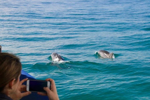 Julian Rocks Byron Bay Cruise - Inverell Accommodation 9