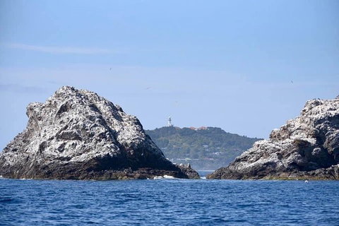 Julian Rocks Byron Bay Cruise - Inverell Accommodation 14