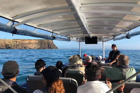 Julian Rocks Byron Bay Cruise - Inverell Accommodation 5