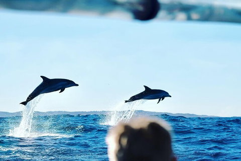 Julian Rocks Byron Bay Cruise - Inverell Accommodation 18