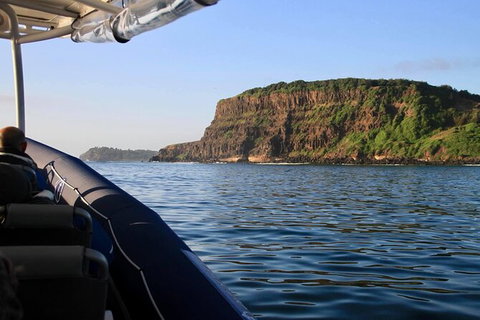 Julian Rocks Byron Bay Cruise - Inverell Accommodation 17