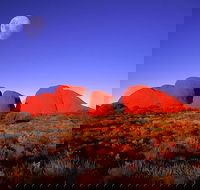 Kata Tjuta Afternoon Walpa Gorge Tour - Inverell Accommodation