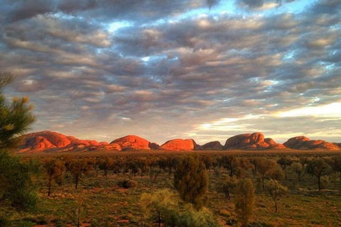 5-Hour Kata Tjuta Sunrise Tour From Ayers Rock With Breakfast - Inverell Accommodation 0