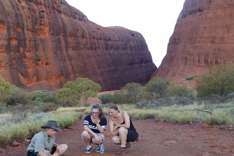 5-Hour Kata Tjuta Sunrise Tour From Ayers Rock With Breakfast - Inverell Accommodation 3