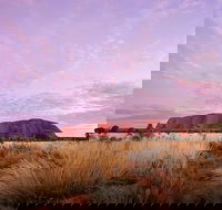 Sunset Australian Barbecue Dinner in Uluru - Inverell Accommodation