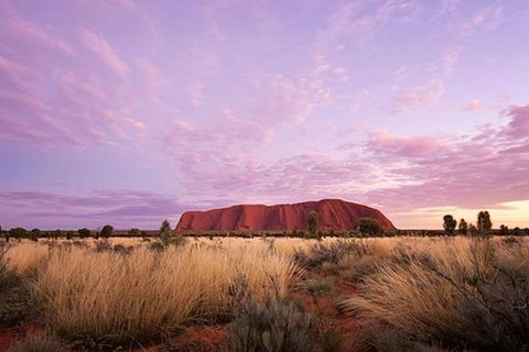 Sunset Australian Barbecue Dinner In Uluru - Inverell Accommodation 0