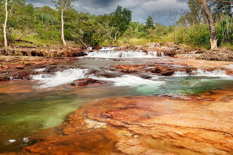 Full-Day Private Guided Tour To Litchfield National Park - Inverell Accommodation 14