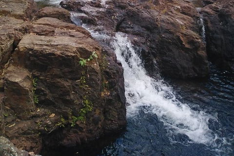 Full-Day Private Guided Tour To Litchfield National Park - Inverell Accommodation 8