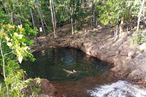 Full-Day Private Guided Tour To Litchfield National Park - Inverell Accommodation 18