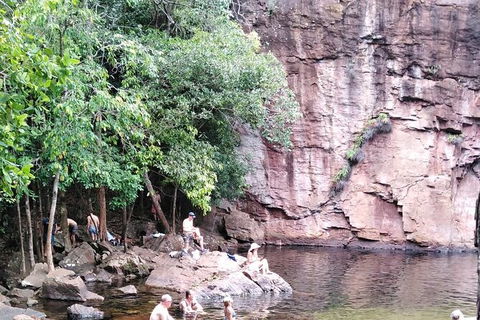 Full-Day Private Guided Tour To Litchfield National Park - Inverell Accommodation 16