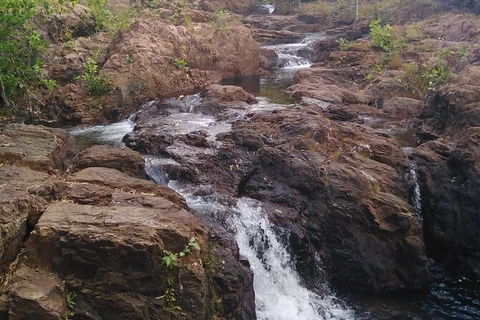 Full-Day Private Guided Tour To Litchfield National Park - Inverell Accommodation 15