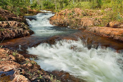 Full-Day Private Guided Tour To Litchfield National Park - Inverell Accommodation 3
