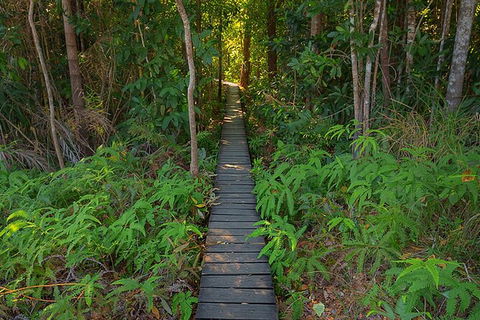 Full-Day Private Guided Tour To Litchfield National Park - Inverell Accommodation 7