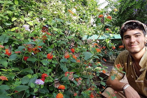 Full-Day Private Guided Tour To Litchfield National Park - Inverell Accommodation 17