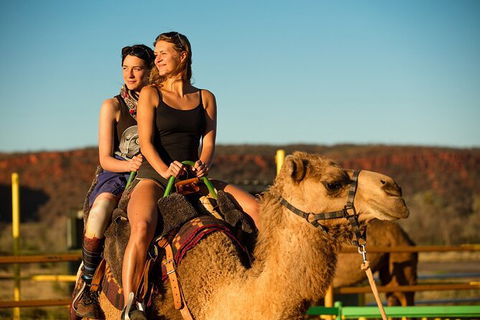 4 Day/3 Night Perentie Dreaming Safari - Inverell Accommodation 1