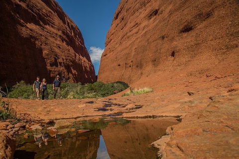 4 Day/3 Night Perentie Dreaming Safari - Inverell Accommodation 3