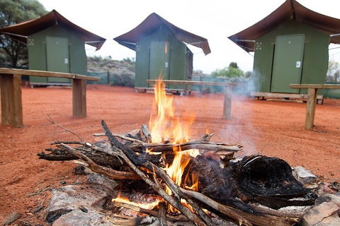 4 Day/3 Night Perentie Dreaming Safari - Inverell Accommodation 5