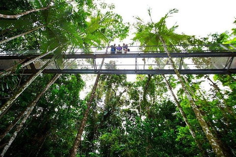 Daintree Discovery Centre Family Pass Ticket - Inverell Accommodation 3