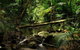 Daintree Discovery Centre Family Pass Ticket - thumb 5