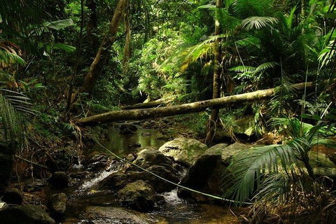 Daintree Discovery Centre Family Pass Ticket - Inverell Accommodation 5
