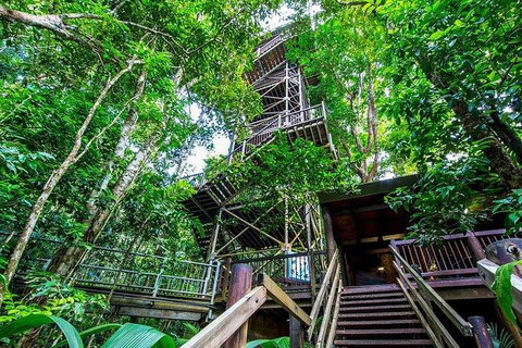 Daintree Discovery Centre Family Pass Ticket - Inverell Accommodation 4