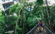 Daintree Discovery Centre Family Pass Ticket - thumb 2
