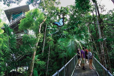 Daintree Discovery Centre Family Pass Ticket - Inverell Accommodation 2