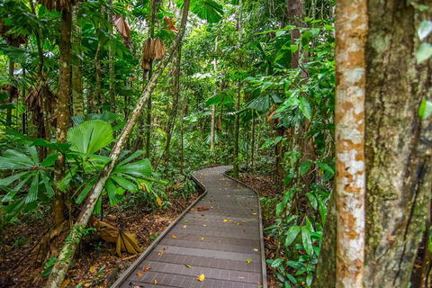 Daintree Afternoon Nocturnal Nature And Wildlife Tour - Inverell Accommodation 9