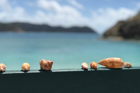 7-Day Private Sea Kayaking In Whitsundays - Inverell Accommodation 1