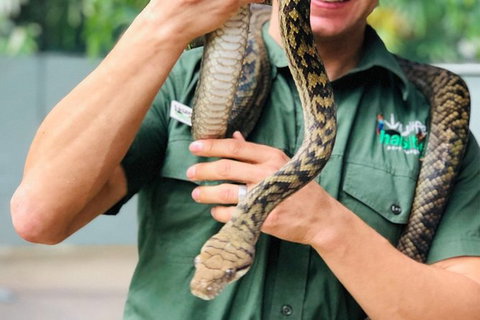 Virtual Interactive Australian Wildlife Tour With Private Guide-Wildlife Habitat - Inverell Accommodation 3