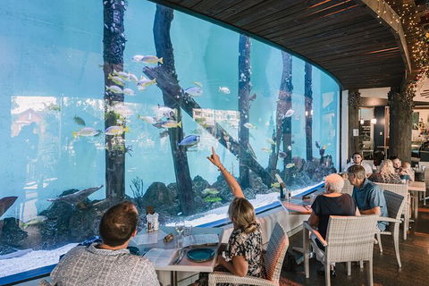Cairns Aquarium By Twilight With 3 Course Dinner - Inverell Accommodation 1