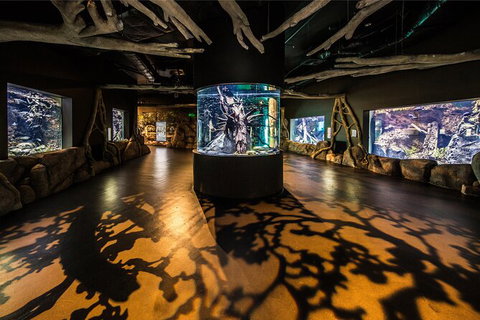 Cairns Aquarium Tour By Twilight With Drink And Appetiser - Inverell Accommodation 4