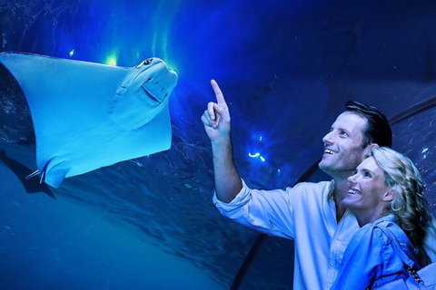 Cairns Aquarium Tour By Twilight With Drink And Appetiser - Inverell Accommodation 0