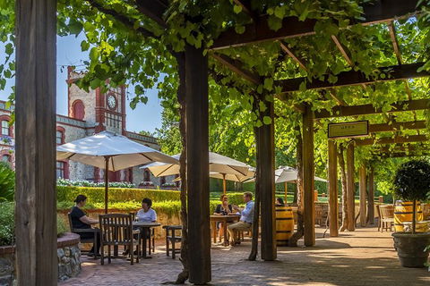 Yalumba Nursery & Grenache Discovery Tour + Platter Lunch - Inverell Accommodation 4