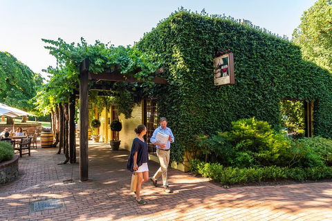 Yalumba Nursery & Grenache Discovery Tour + Platter Lunch - Inverell Accommodation 3