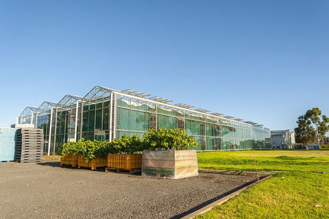 Yalumba Nursery & Grenache Discovery Tour + Platter Lunch - Inverell Accommodation 5