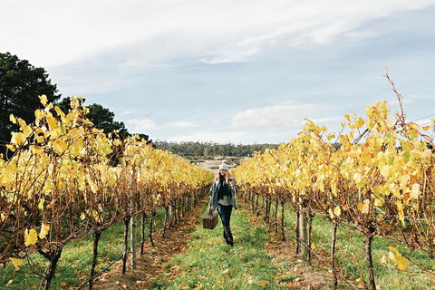 One-Way East Coaster - Inverell Accommodation 4