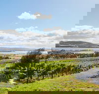 Launceston Wine  Sightseeing Tours - Inverell Accommodation