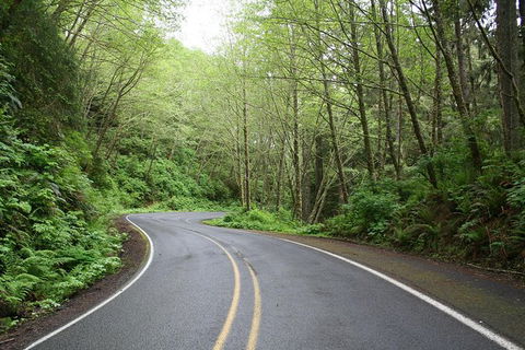 Cruise Ship Shore Excursion - Private Great Ocean Road Full Day Tour (12 Hour) - Inverell Accommodation 1