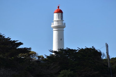 Great Ocean Road Tour Plus Koalas, Forest Walk And Morning Tea. - Inverell Accommodation 1