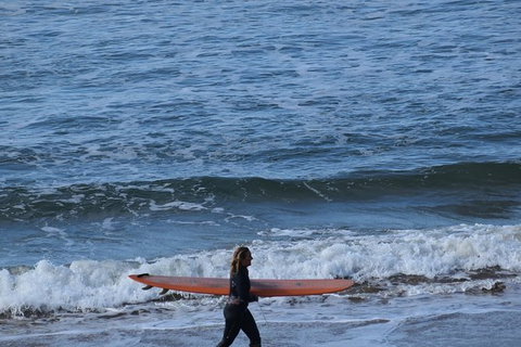 Great Ocean Road Tour Plus Koalas, Forest Walk And Morning Tea. - Inverell Accommodation 8